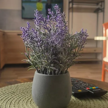 Ewa Wczasy Privatunterkunft *