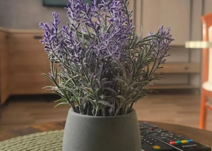 Ewa Wczasy Rum i privatbostad *